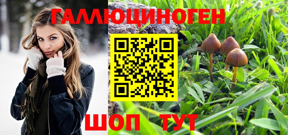 Галлюциногенные грибы мицелий Лянтор